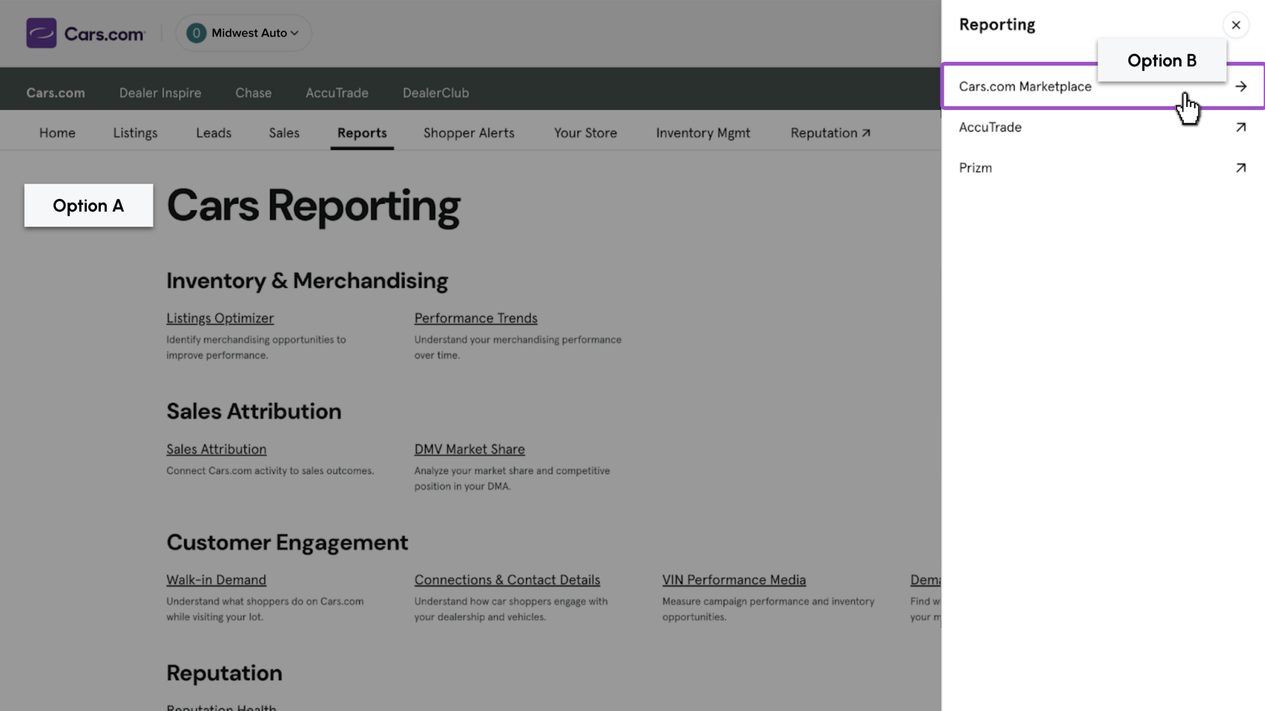 Reporting options