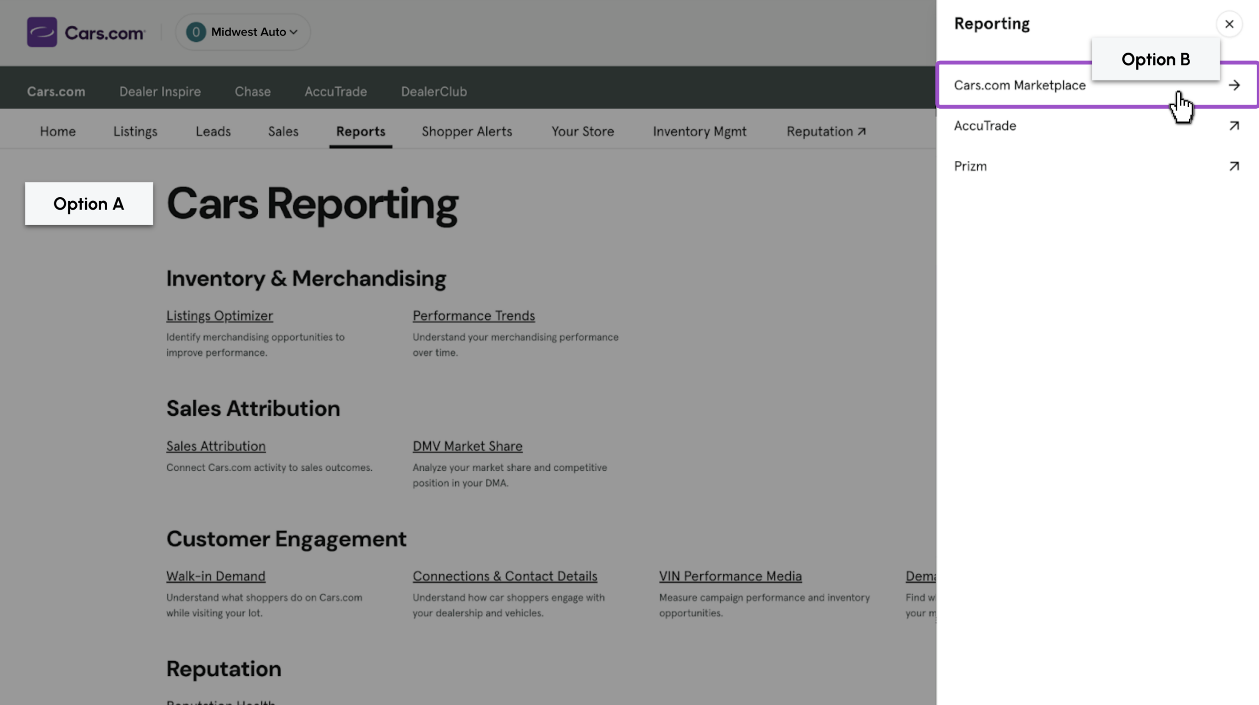 Reporting options